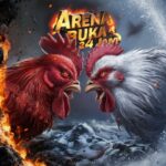 sabung ayam