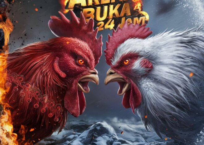 Kelebihan dan Kekurangan Bermain Sabung Ayam Online