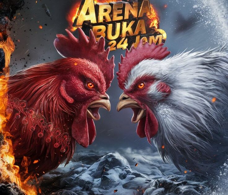 Kelebihan dan Kekurangan Bermain Sabung Ayam Online